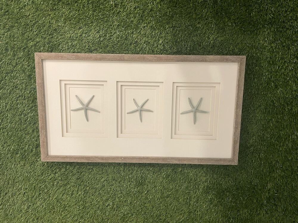 Coastal Starfish Shadow Box Framed Wall Art 3 Panel Triptych Matte 26" x 14"